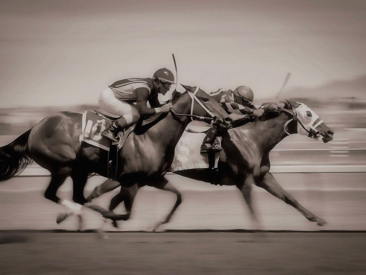 ザ プラザ ホテル パイオニア パーク エル・パソ エクステリア 写真 Thoroughbred horses racing